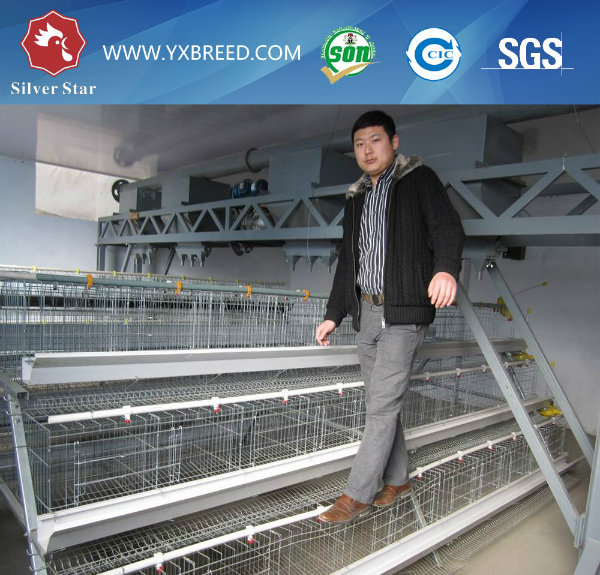 Silver Star Factory Outlet Poultry Equipment Chicken Cage