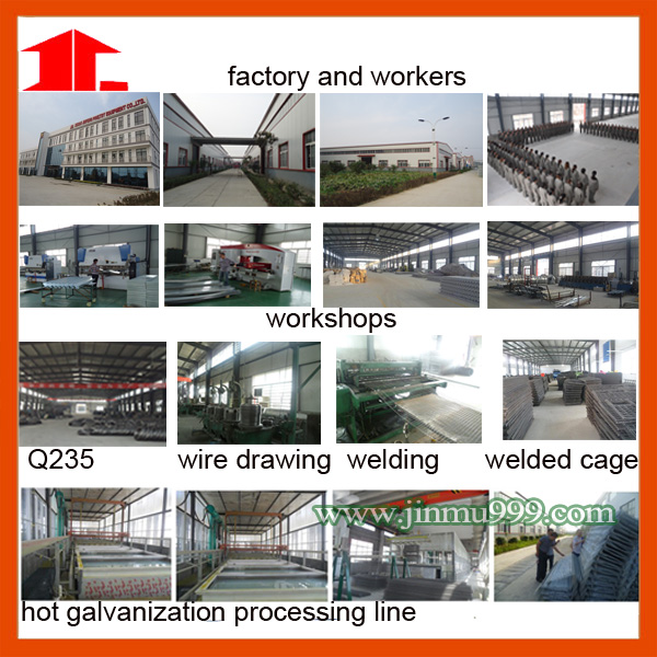 High Quality Poultry Equipment Egg Laying Chicken Cage on Sell