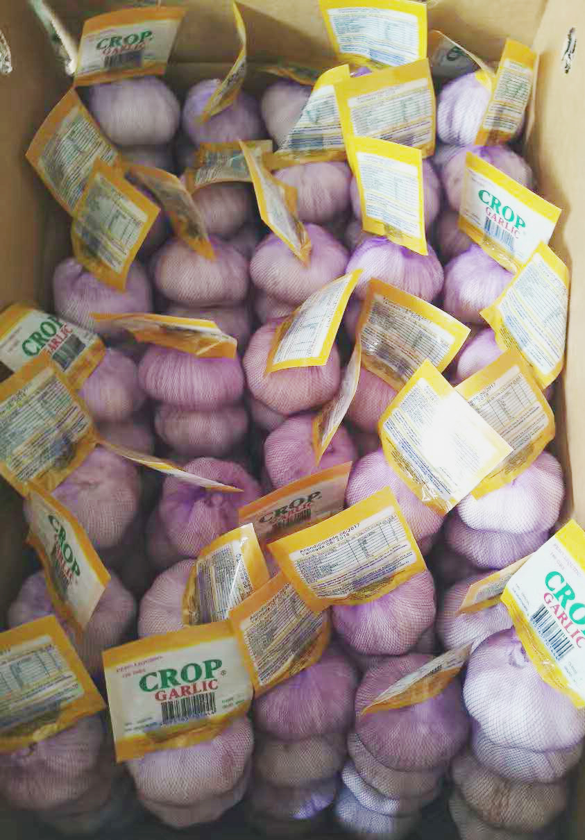 New crop fresh natural normal white garlic New crop fresh natural normal white garlic