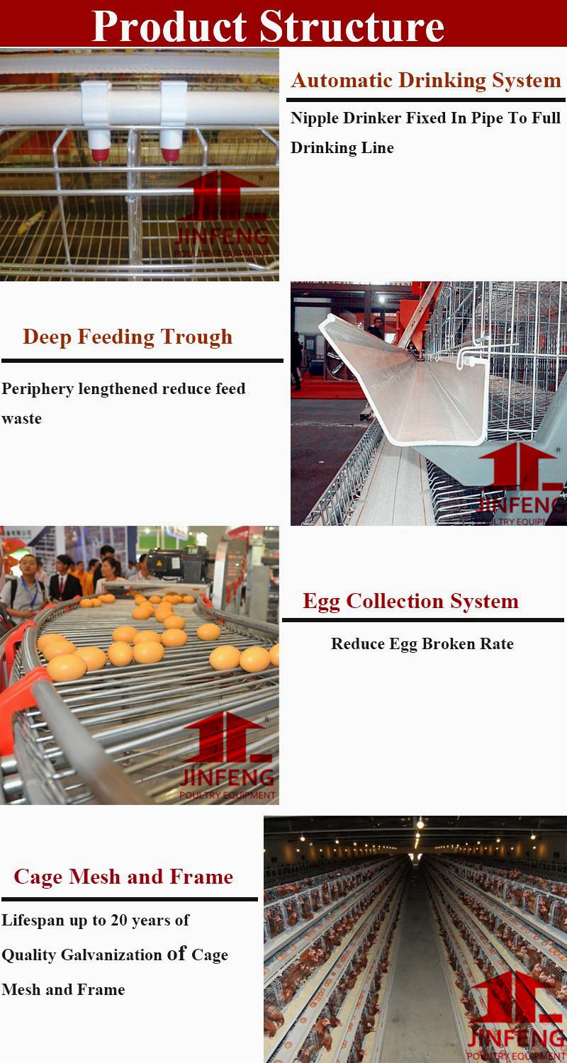 Factory Top Selling Chicken Layer Cage for Africa Poultry Equipment