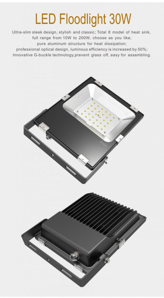5 Years Warranty 30W LED Floodlight with Ce RoHS Waterproof