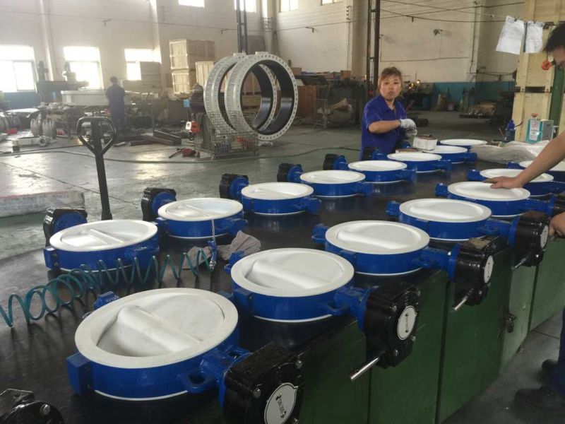 Teflon PTFE Lined Wafer Butterfly Valve with Ce ISO Wras Approved