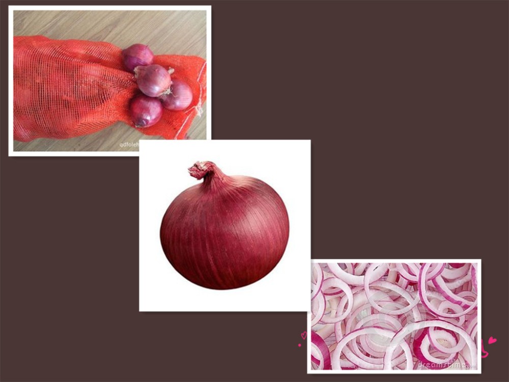 Quality fresh onion vegetables new crop for wholesale