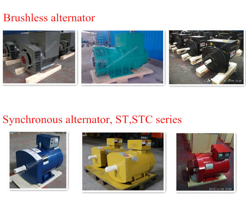 St Single-Phase Stc Three-Phase AC Synchronous Alternator