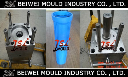 Top High Quality Plastic Inline Water Filter Mould