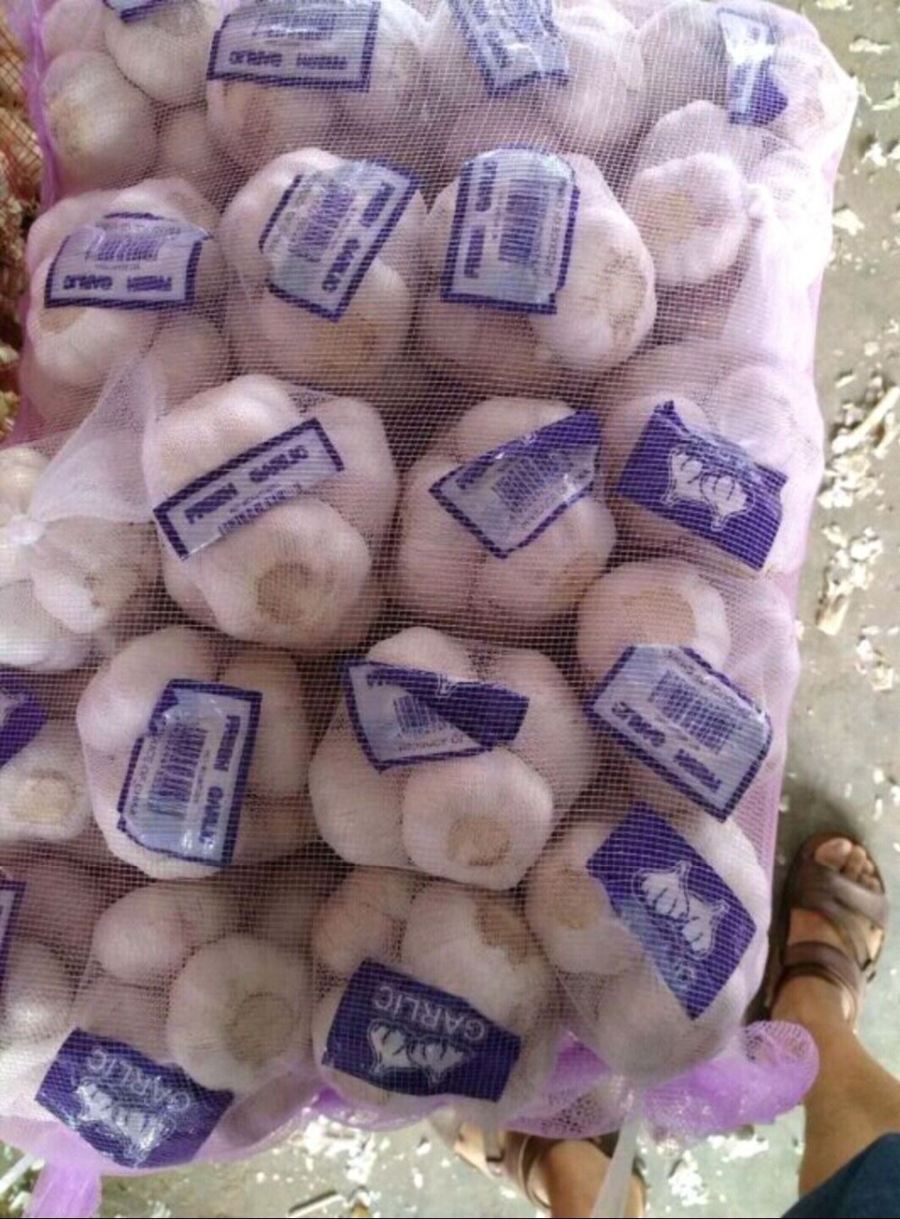 Garlic wholesale Hot sales