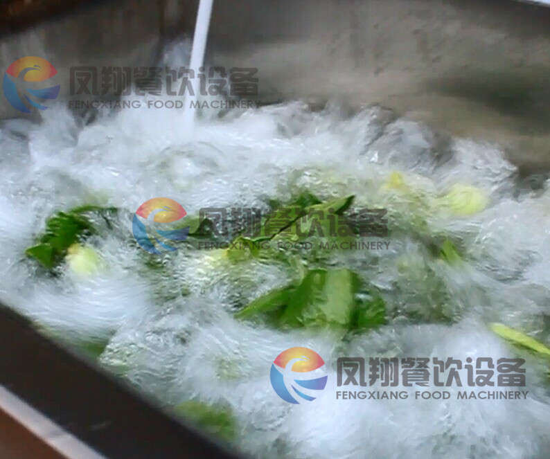 Wasc-10 Cabbage Washing and Cleaning Machine, Cabbage Washing Machine, Cabbage Cleaning Machine