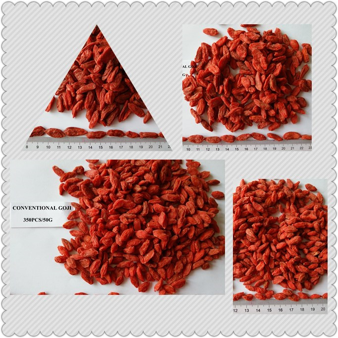 Dried Goji Berries From Ningxia, China with Various Size