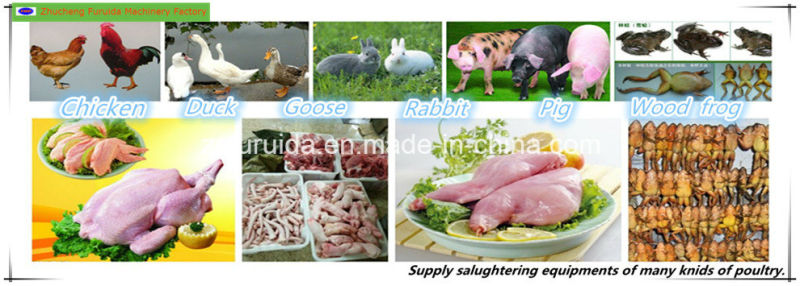 Stainless Steel Chicken Feet Cutting Machine (poultry slaughter)