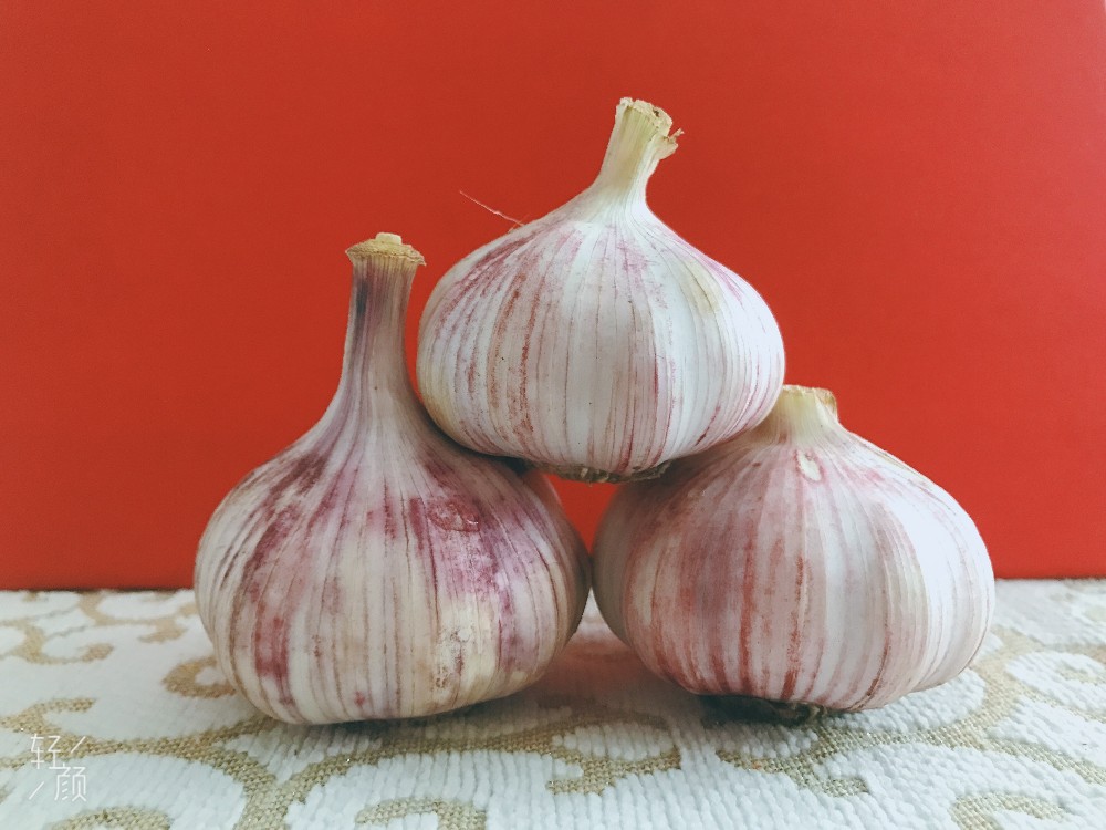 Garlic wholesale Hot sales