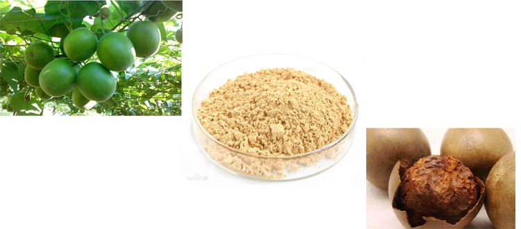  Mogroside powder 