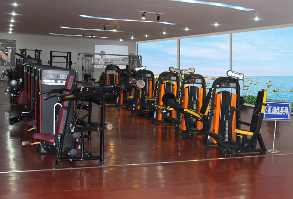 Fitness Equipment/Gym Equipment for Barbell Rack (SMD-2022)
