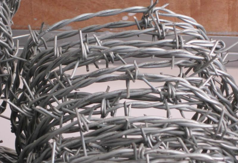 Bwg16 Single Electric Galvanzied Barbed Wire (Anping Factory)