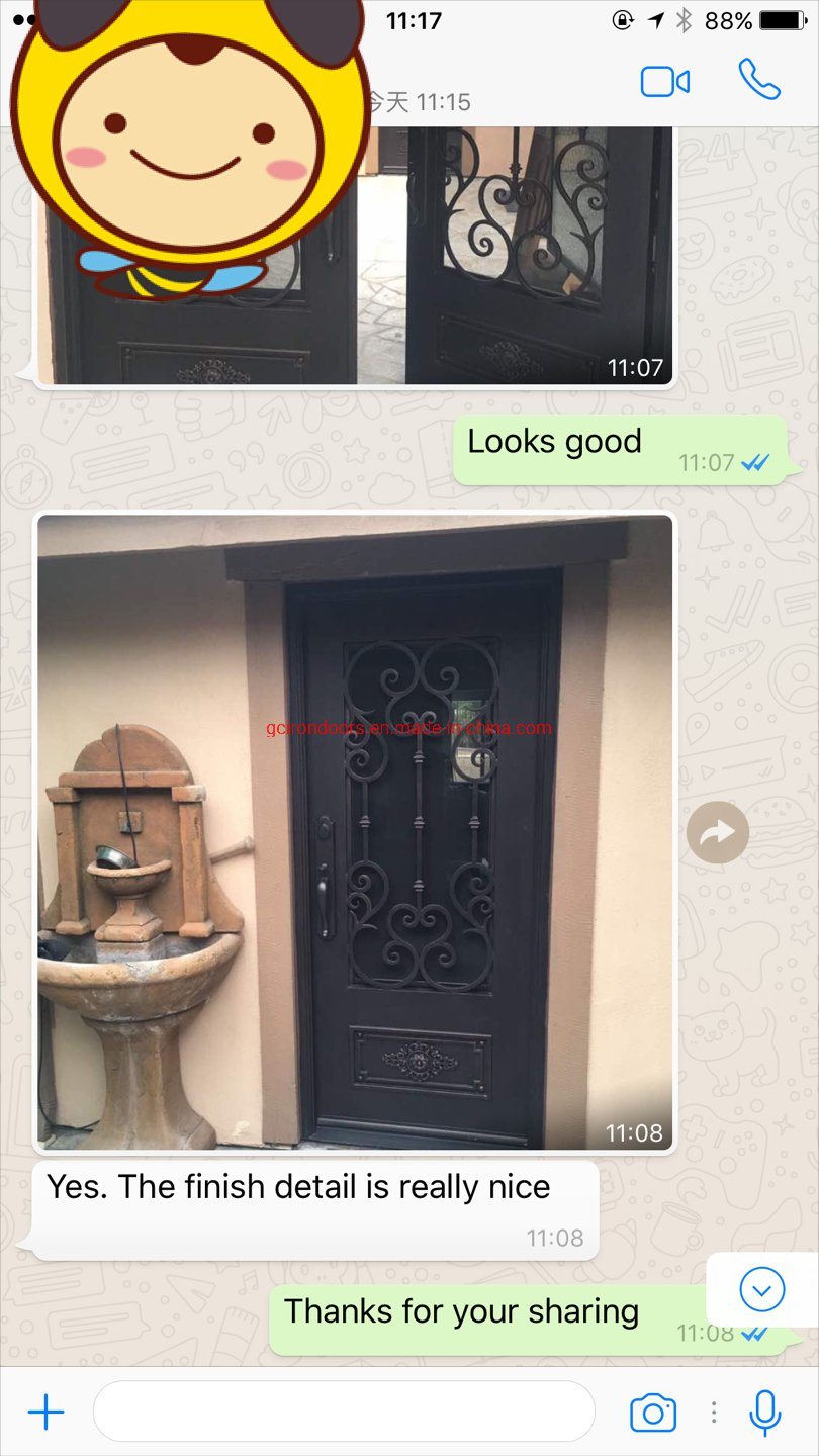 Porte en fer galvanisé à chaud de l'usine de la Chine