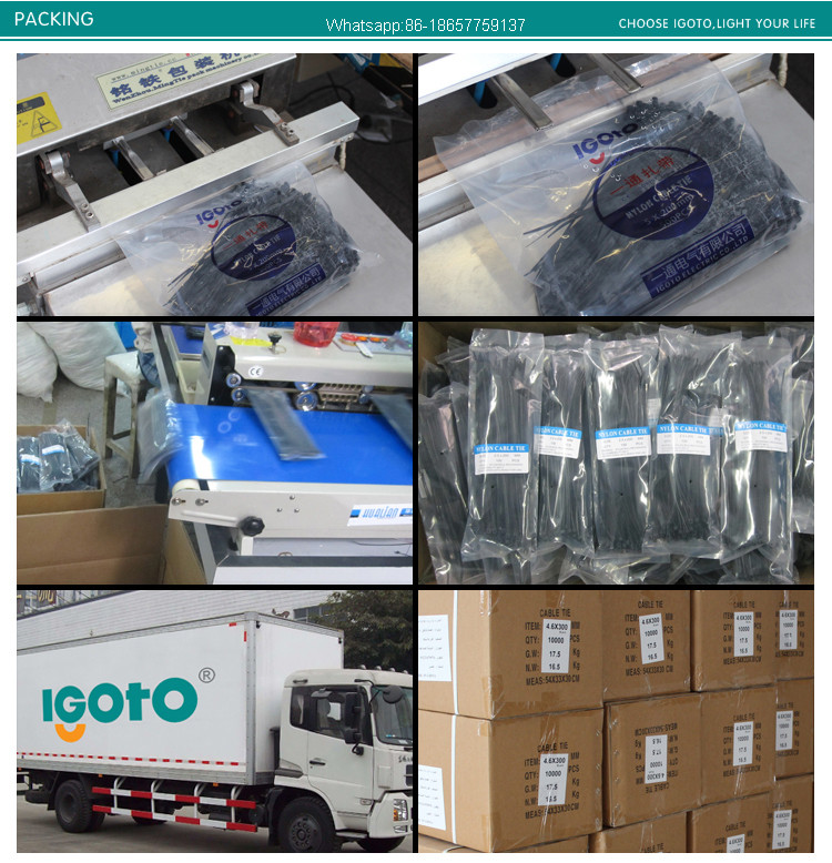 Igoto UV Resistant Self Locking Plastic Strap
