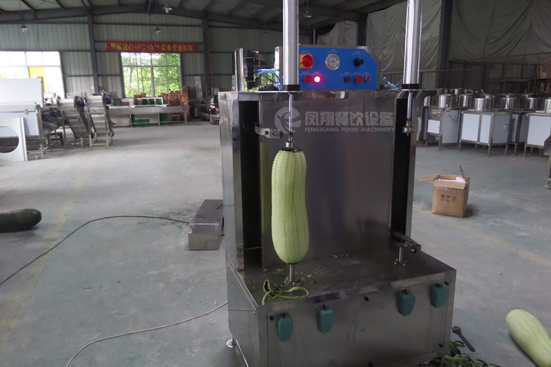 Double-Head Pumkin Peeling Machine, Chinese Watermelon Peeling Machine Fxp-99