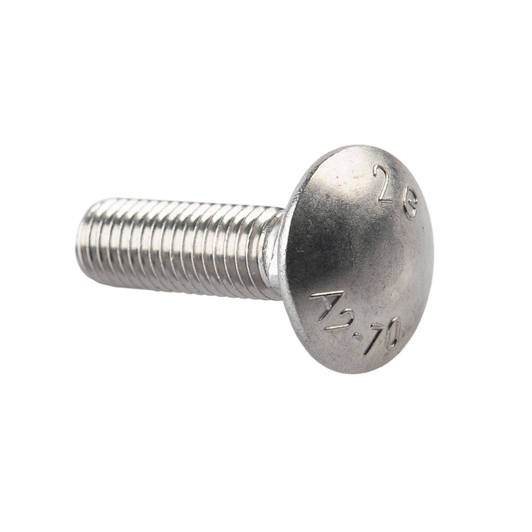 stainless steel carriage bolts