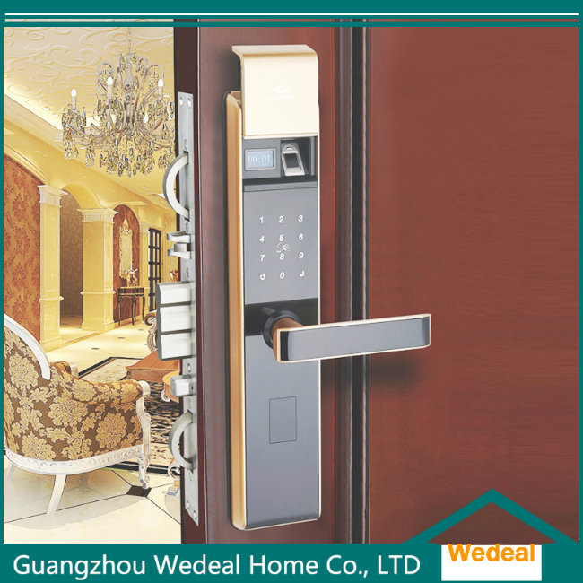Electronic Safe Intelligent Lock for Entrance Door for Houses