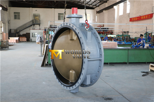 Dn1400 Double Flange Butterfly Valve (D41X-10/16)