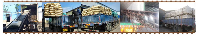 Humic Acid Flake Humic Acid Flake