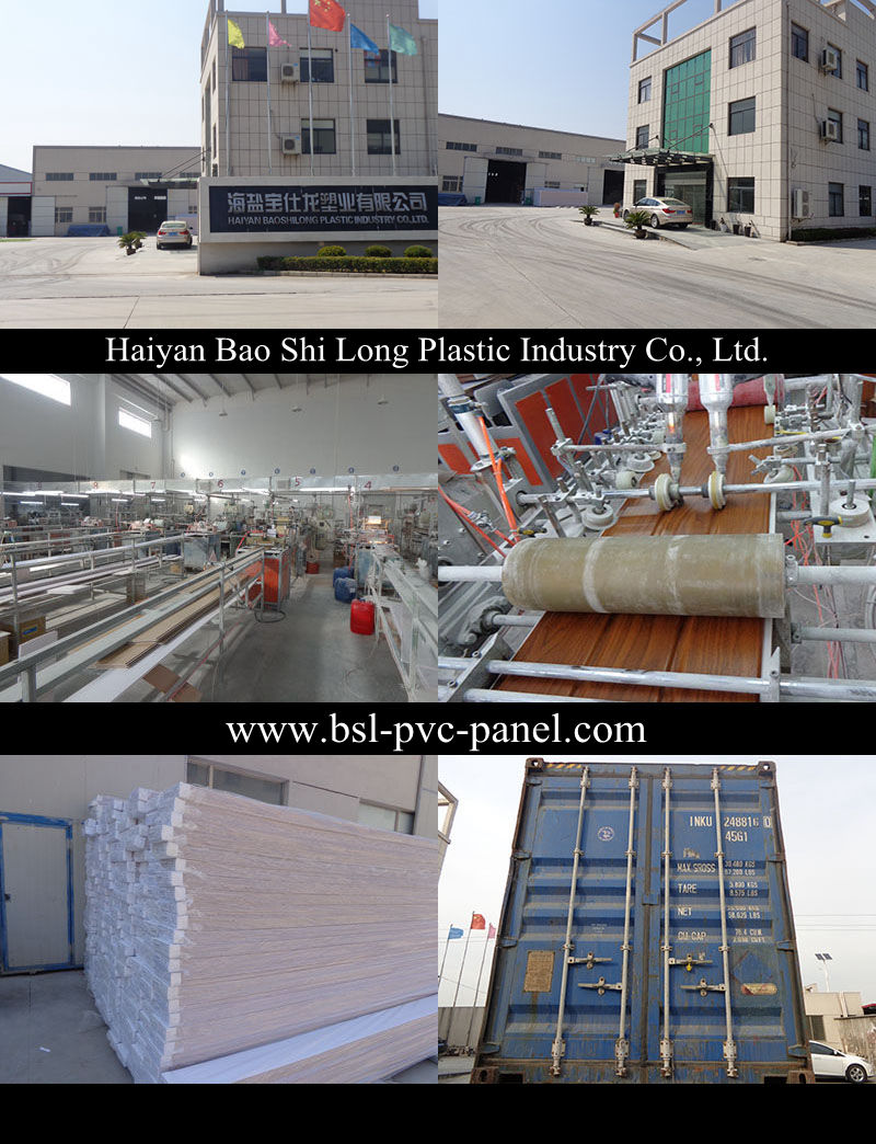 South Africa Hotselling Famous Brand PVC Panel 30cm 9mm