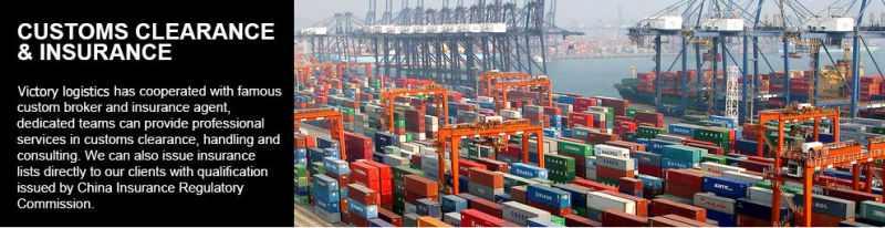 Professional Sea Freight Service/Sea Freight Forwarder Service From China to Worldwide (Sea Freight Service)