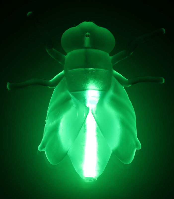 New Animal Toys Glow Fly for Halloween