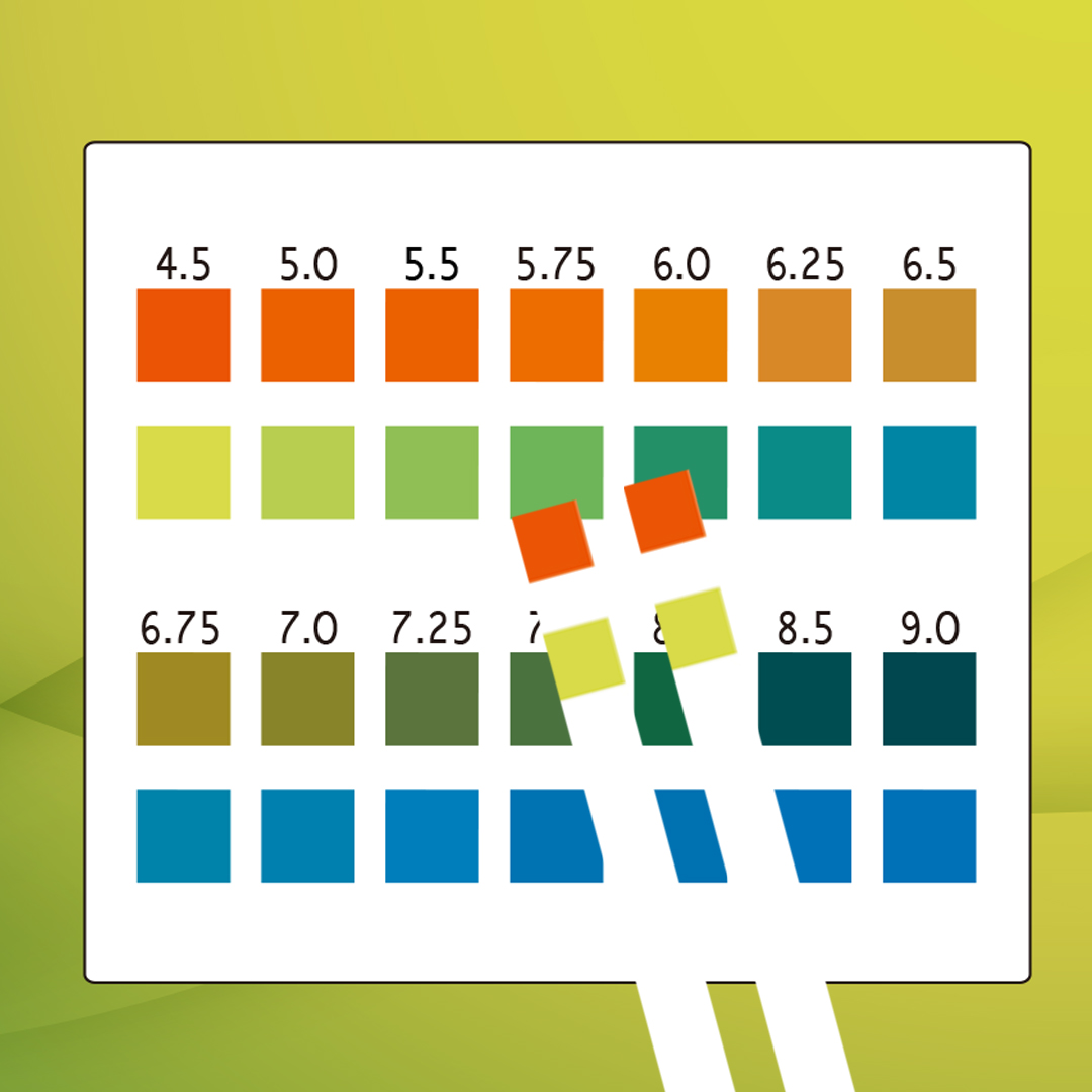 hot sale Ph Test Strips