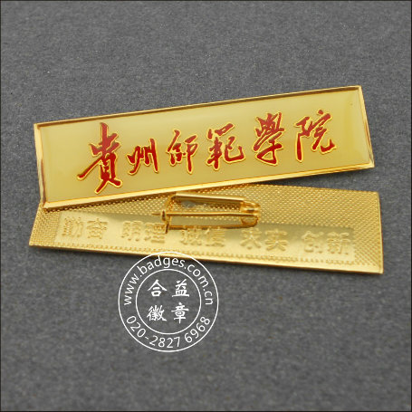 Name Lapel Pin, Custom Organizational Badge (GZHY-LP-028)