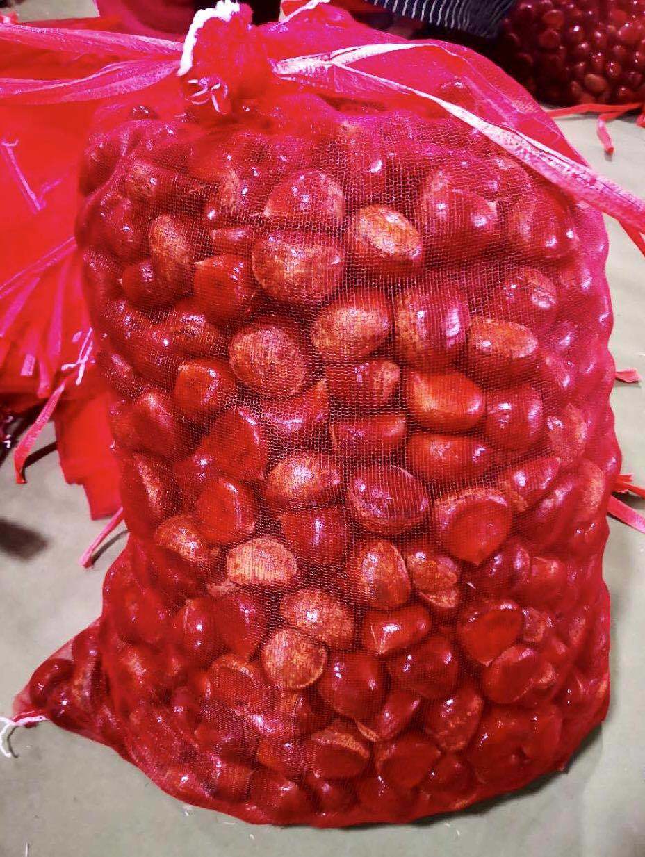 Fresh Chestnut