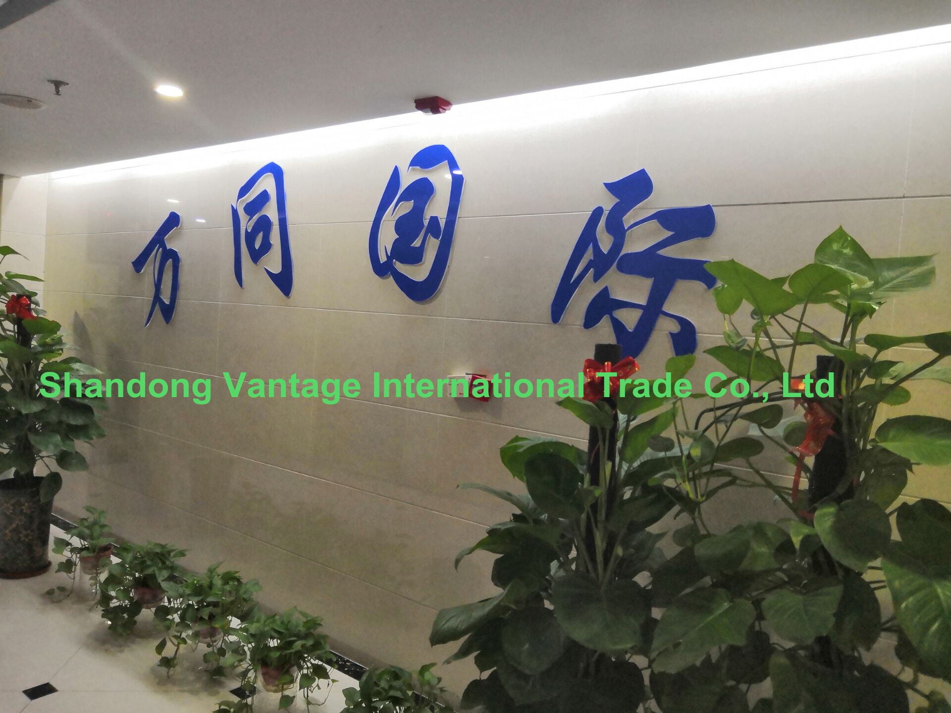Shandong Vantage Shandong Vantage