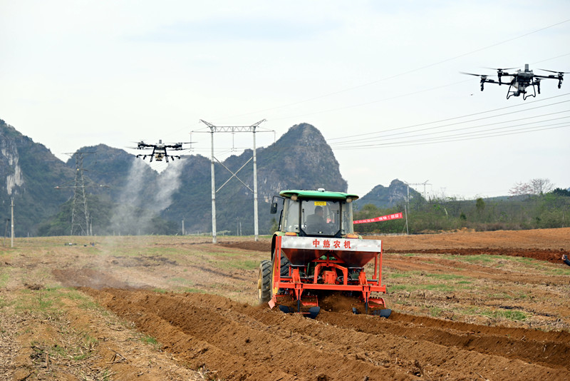 Sugarcane fertilizer cultivator Sugarcane fertilizer cultivator