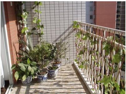 The back garden on the first floor is designed with a natural-looking fence