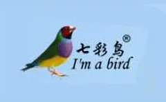 Colorful Bird