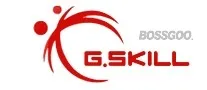 G.SKILL