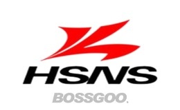 HSNS