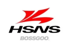 HSNS