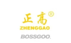Senior Professor of Branding 