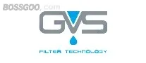 GVS