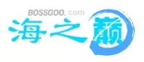 HAIZHIDIAN