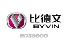 BYVIN