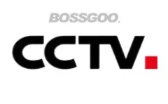 China Central Television