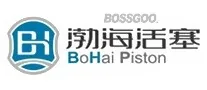 BOHAI PISTON