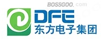 Dongfang Electronic (DFE)