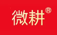 Brand Micro - Cultivation