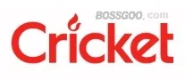 Cricket