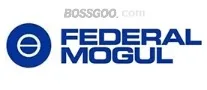 Federal-Mogul