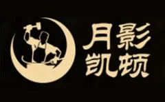 YUEYING KAIDUN
