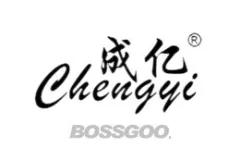 Chengyi