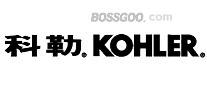 Kohler Power